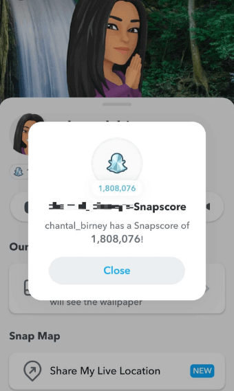 What is SnapChat Score?