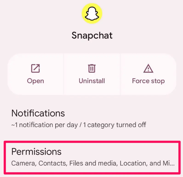 Check Snapchat App Permissions