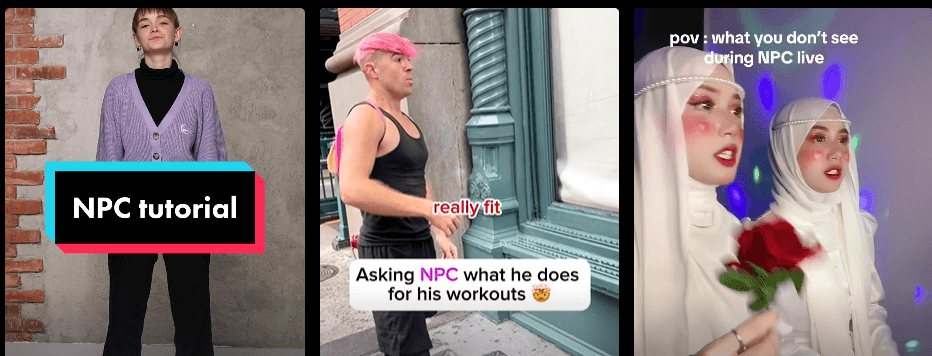 NPC on TikTok