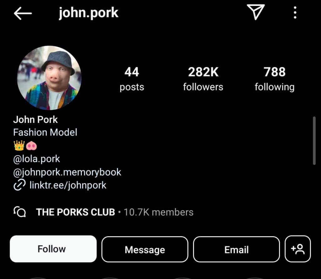 john pork instagram bio