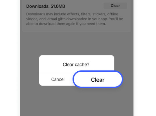 Delete the TikTok app cache.