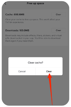 Clear the App Cache on tiktok