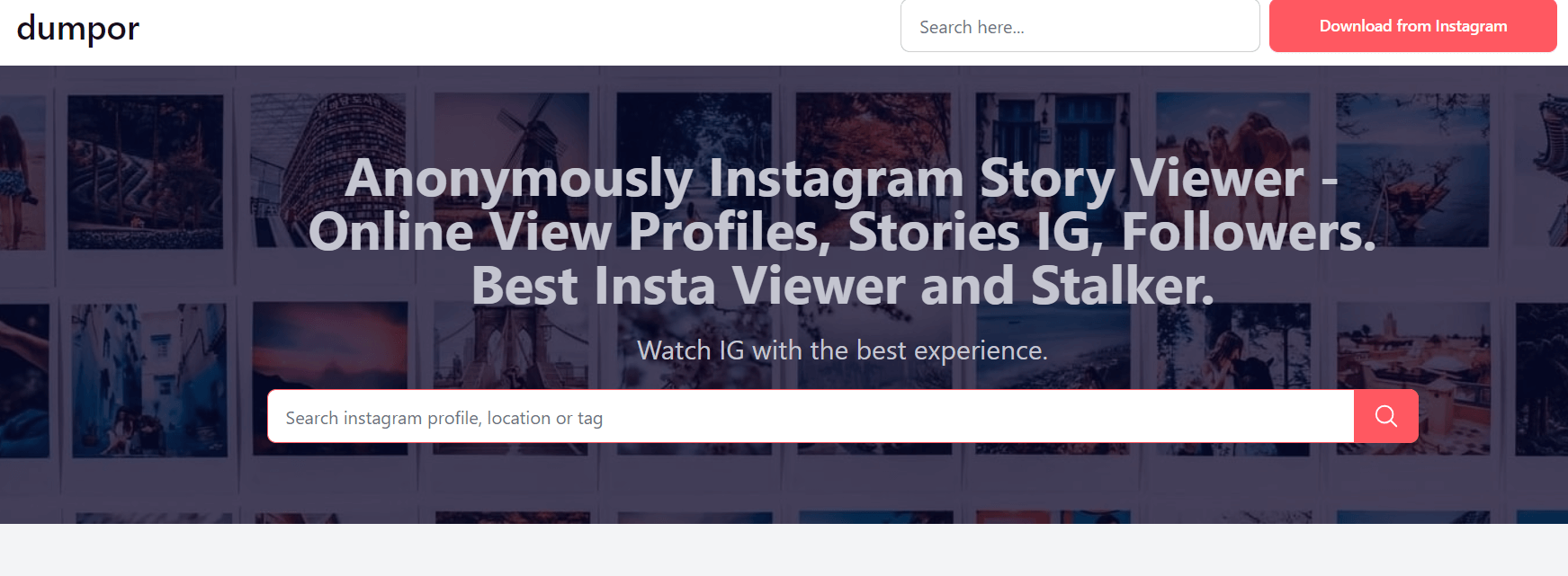 Instagram Viewer Tools