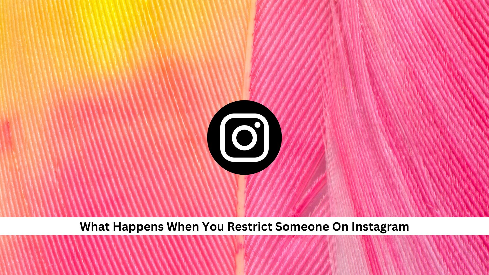 What-Happens-When-You-Restrict-Someone-On-Instagram