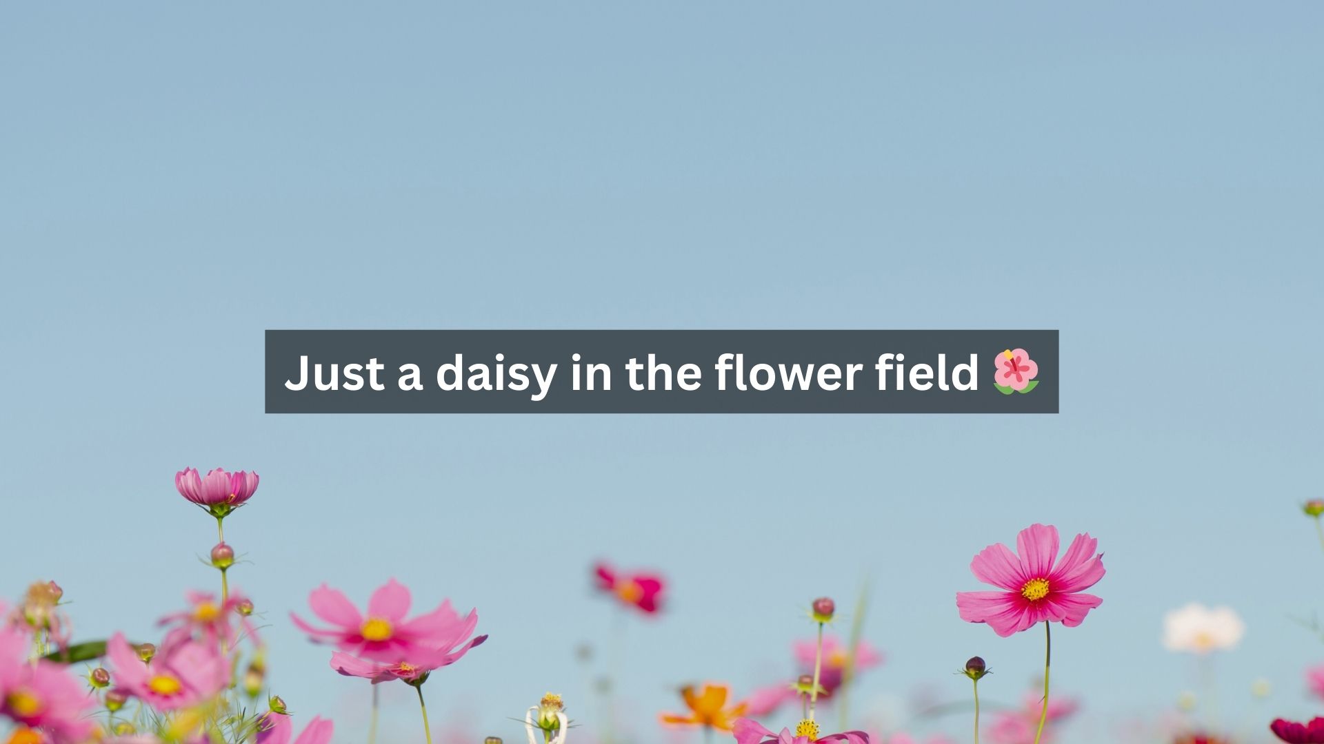 Funny and Clever Flower Captions