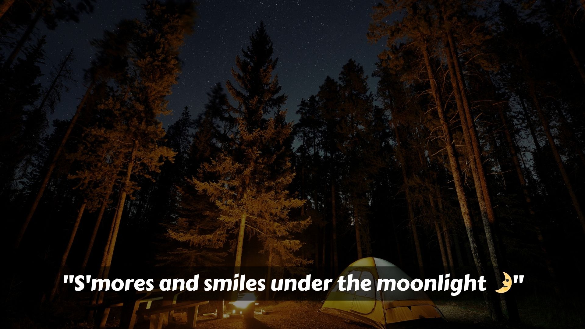 Inspirational Camping Captions for Instagram