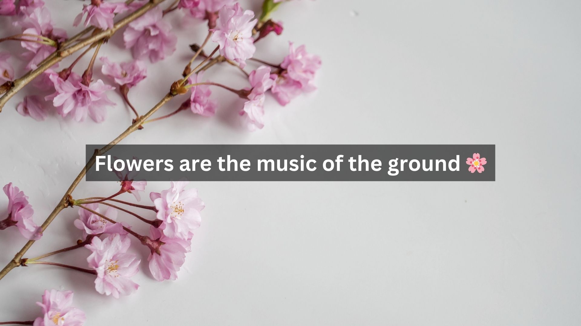 Meaningful and Simple Flower Captions