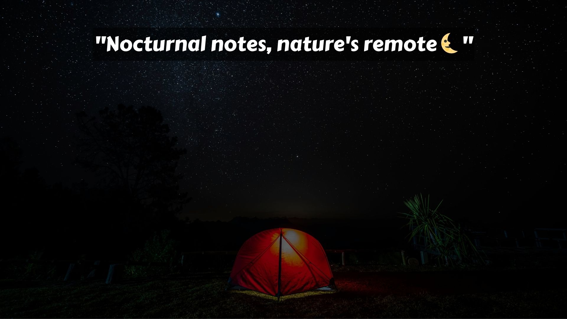 Night Camping Captions for Instagram