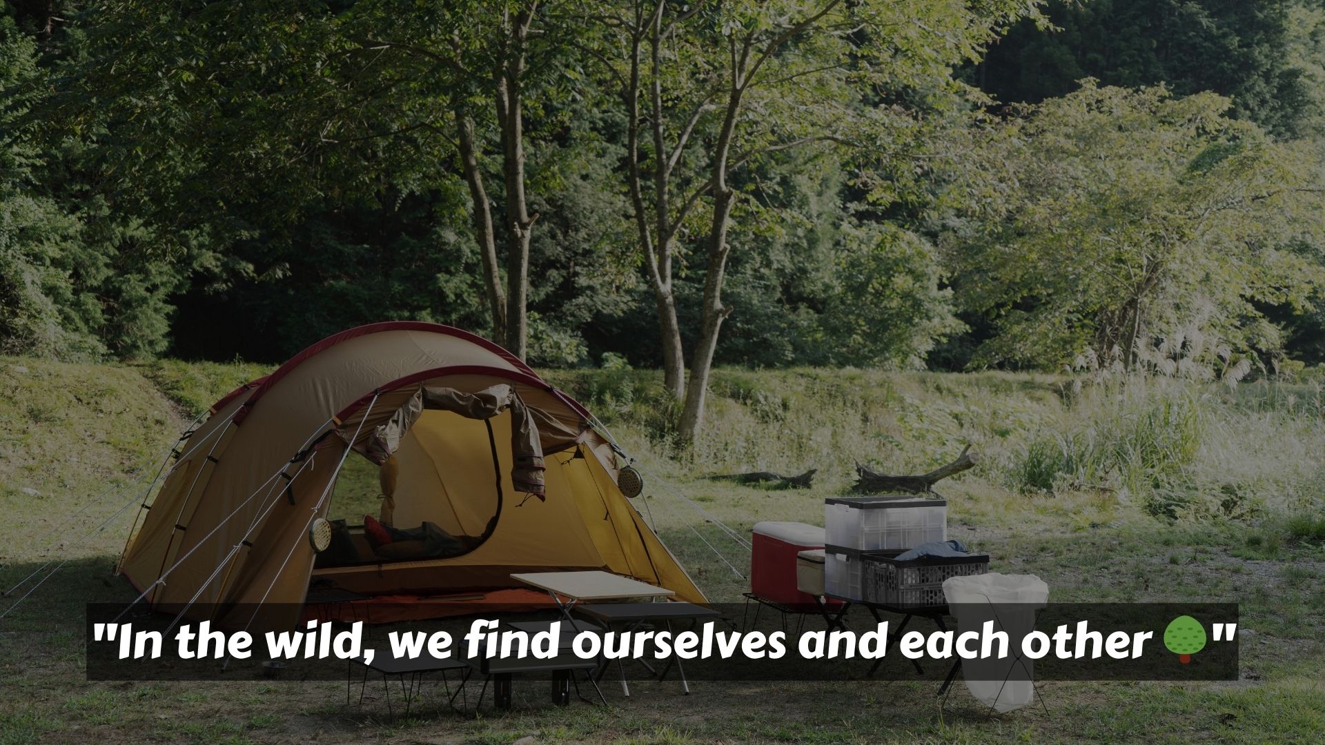 Romantic Instagram Captions for Couples Camping 