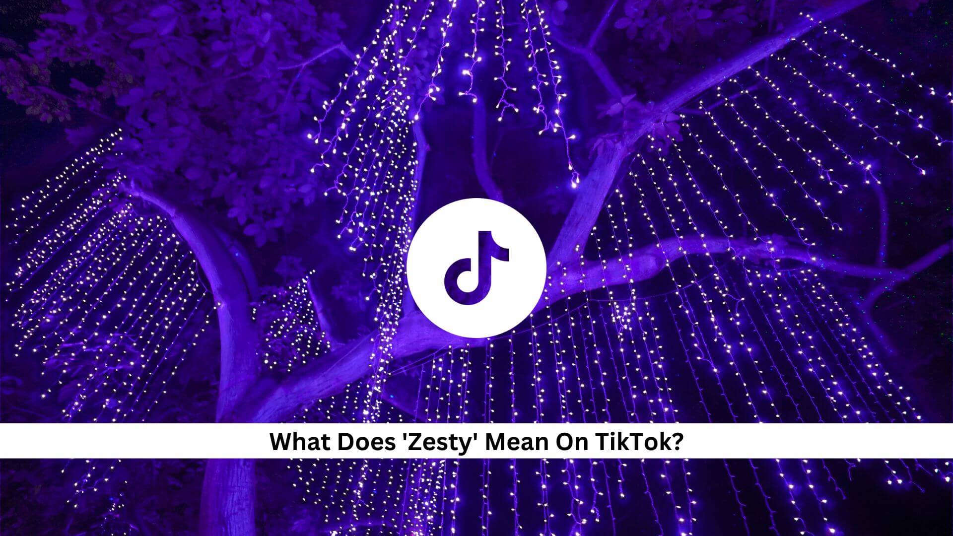 Zesty-Mean-On-TikTok