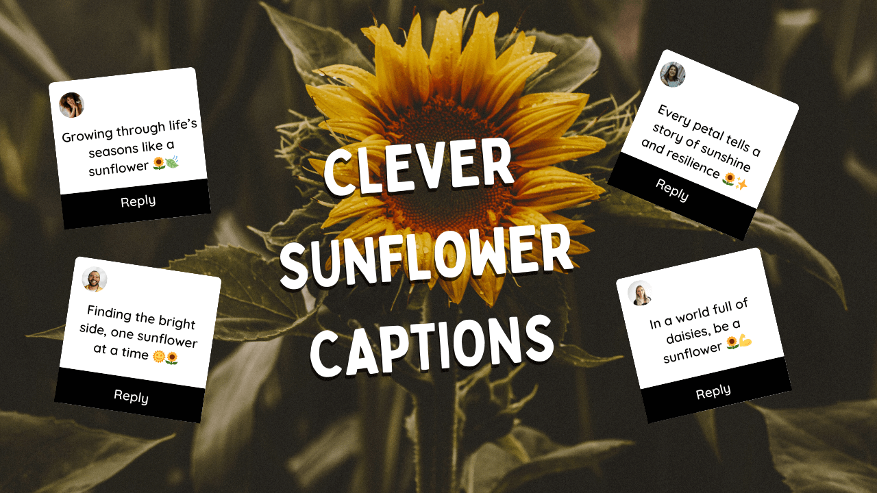 Clever Sunflower Captions