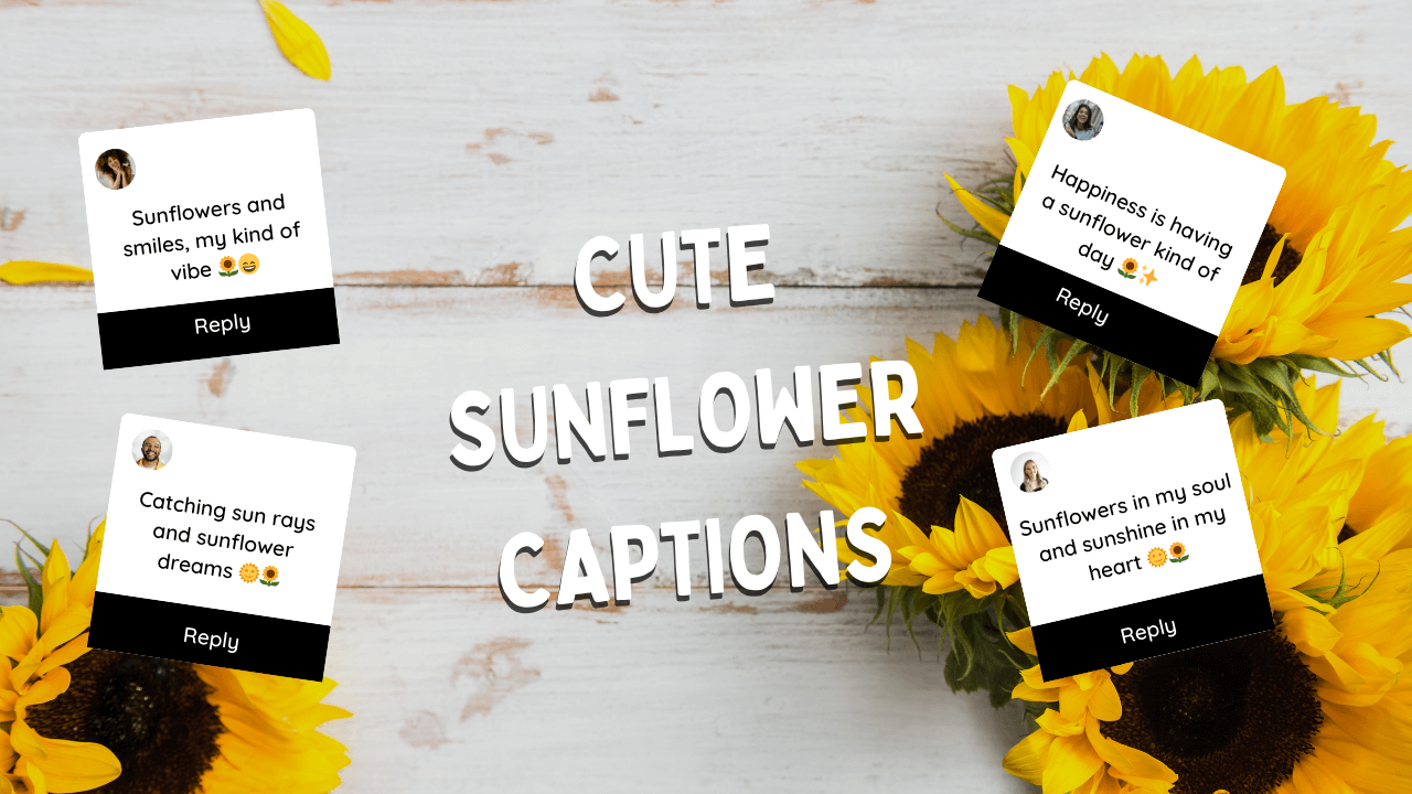 Cute Sunflower Captions