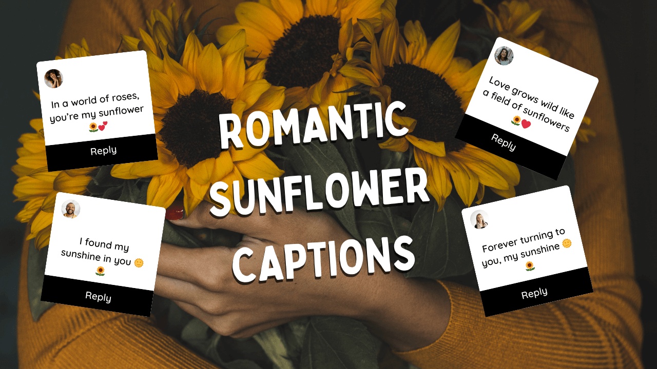 Romantic Sunflower Captions