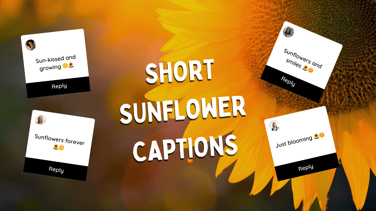 Short Sunflower Captions