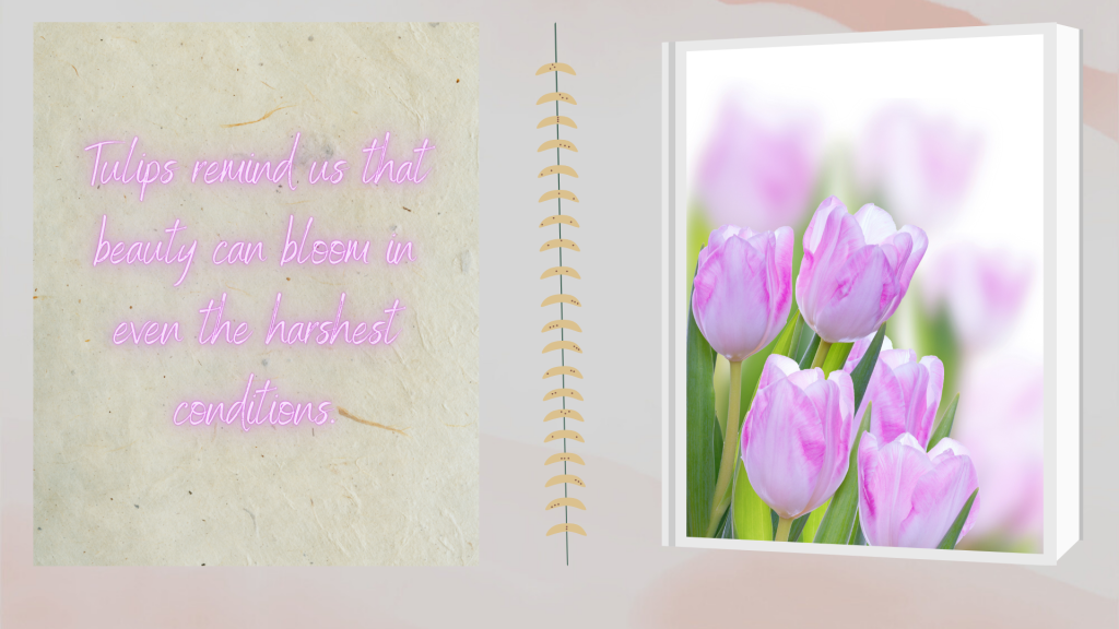 Inspirational Tulip Quotes for Instagram